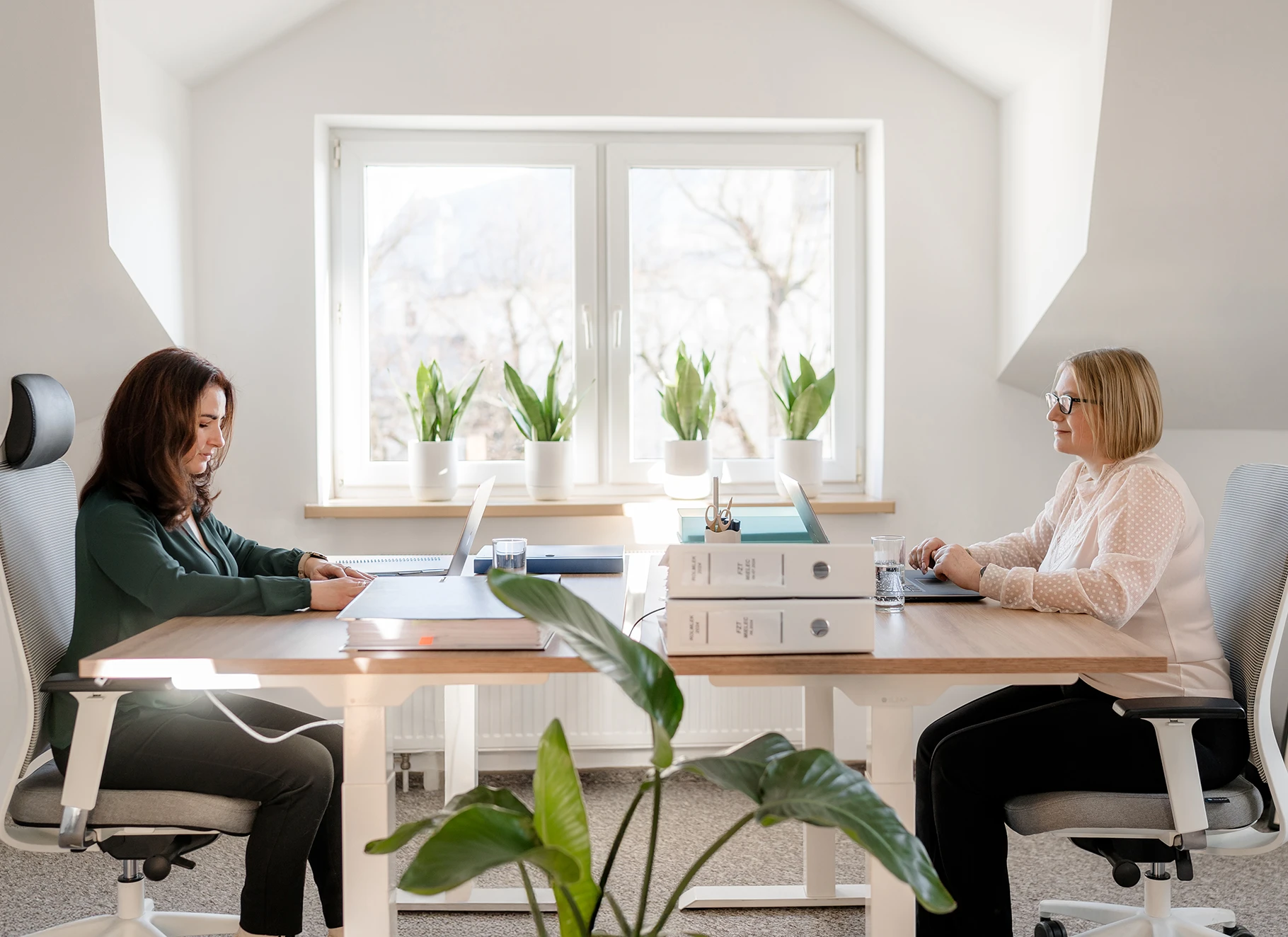 Spotkanie z doradcą biznesowym w Mielcu – konsultacje przy zakładaniu firmy